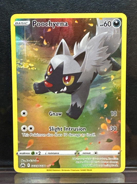 Poochyena - GG33/GG70 - Crown Zenith: Galarian Gallery - NM