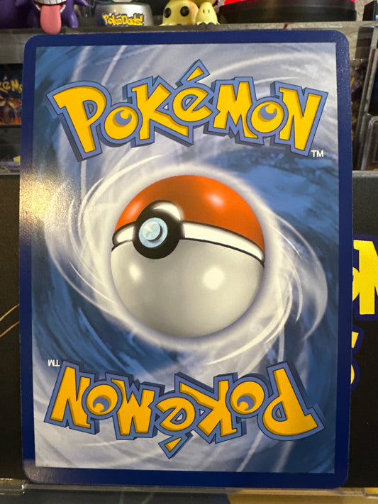 Snivy - BW01 - First Partner Pack - Jumbo Cards